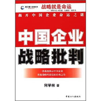 中國企業戰略批判