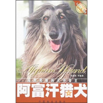 阿富汗獵犬