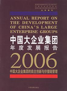 中國大企業集團年度發展報告2006